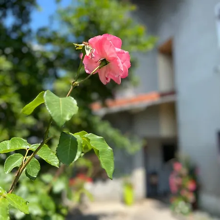 Un Peu Pres Des Etoiles Appartement